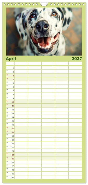 Lächelnde Hunde sind wie Sonnenschein auf vier Pfoten (CALVENDO Familienplaner 2027)