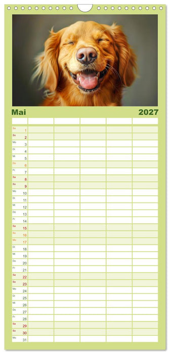 Lächelnde Hunde sind wie Sonnenschein auf vier Pfoten (CALVENDO Familienplaner 2027)