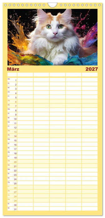 Splash - Katzen im Farbrausch (CALVENDO Familienplaner 2027)
