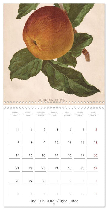 Art & Pomology - Apples 2027 (CALVENDO Monthly Calendar 2027)