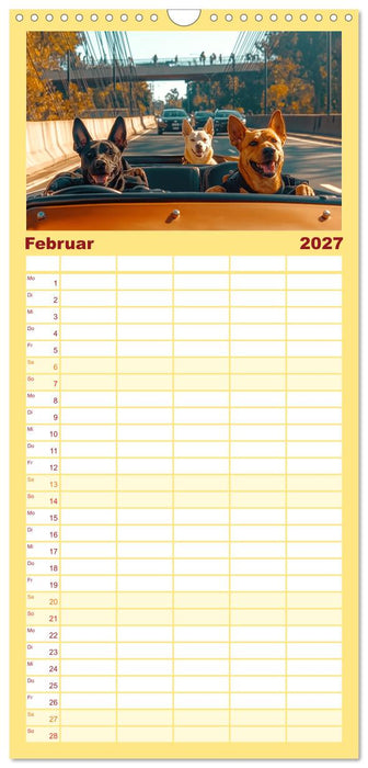 Süße Hunde cruisen - durch das Jahr mit dem Hundekalender (CALVENDO Familienplaner 2027)