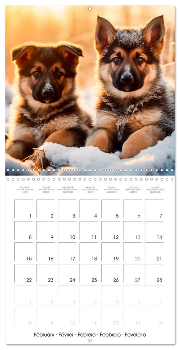 Cute PUPPY PERSONALITIES (CALVENDO Monthly Calendar 2027)