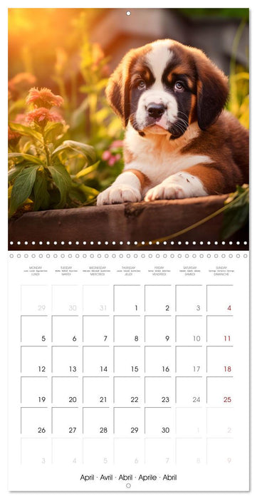 Cute PUPPY PERSONALITIES (CALVENDO Monthly Calendar 2027)