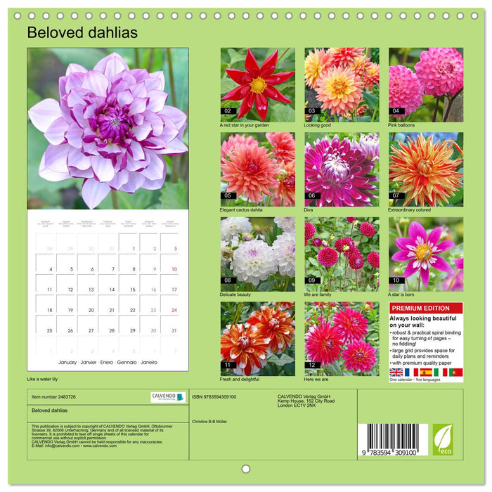 Beloved dahlias (CALVENDO Monthly Calendar 2027)
