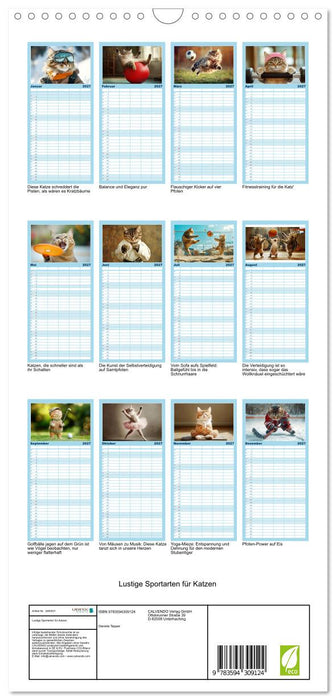 Lustige Sportarten für Katzen (CALVENDO Familienplaner 2027)