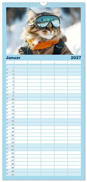 Lustige Sportarten für Katzen (CALVENDO Familienplaner 2027)