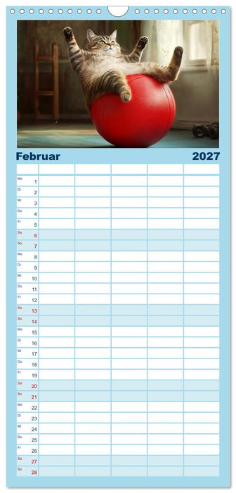 Lustige Sportarten für Katzen (CALVENDO Familienplaner 2027)