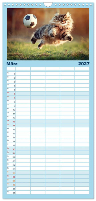 Lustige Sportarten für Katzen (CALVENDO Familienplaner 2027)