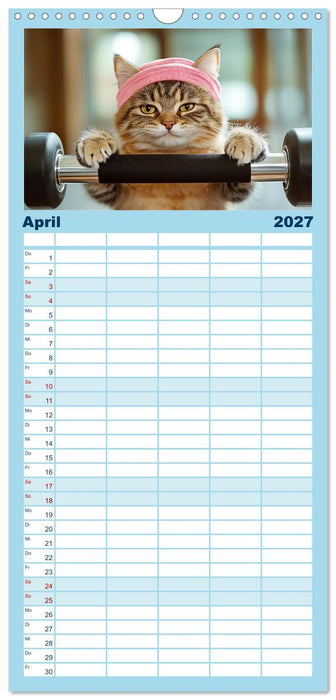 Lustige Sportarten für Katzen (CALVENDO Familienplaner 2027)