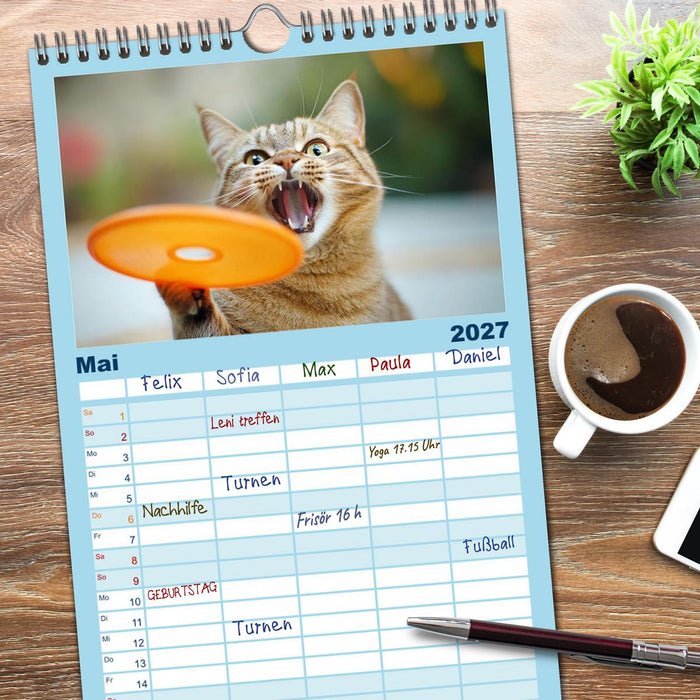 Lustige Sportarten für Katzen (CALVENDO Familienplaner 2027)