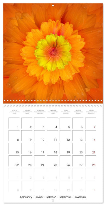 Blooming mandalas (CALVENDO Monthly Calendar 2027)