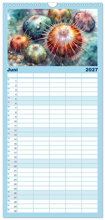 Meereskreaturen - Lebendige Unterwasserwelt (CALVENDO Familienplaner 2027)