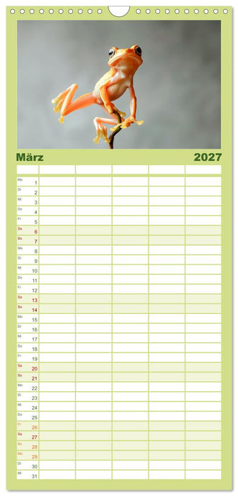 Lustige Amphibienbande (CALVENDO Familienplaner 2027)