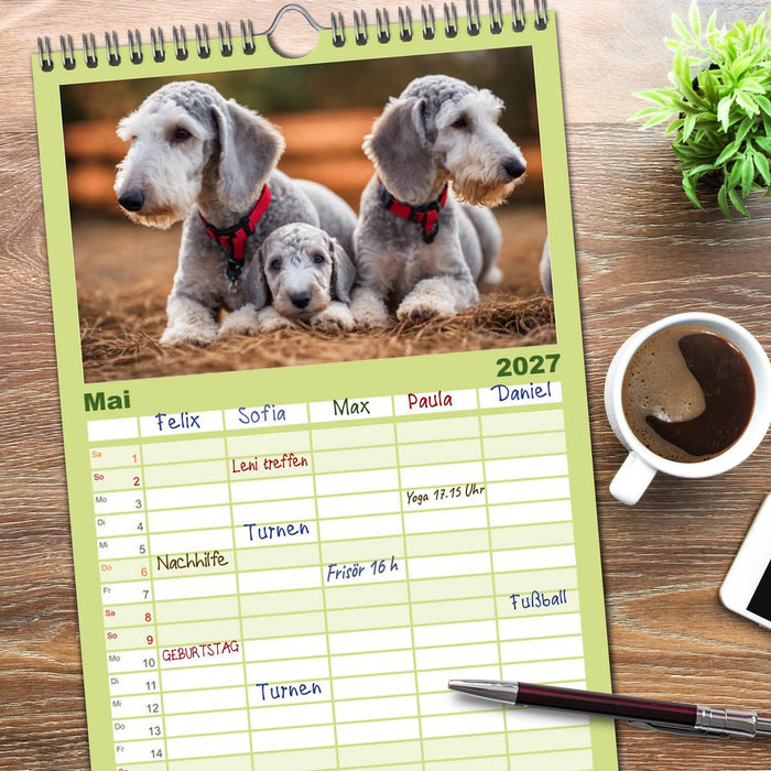 Bedlington Terrier - Hunde im Schafspelz (CALVENDO Familienplaner 2027)