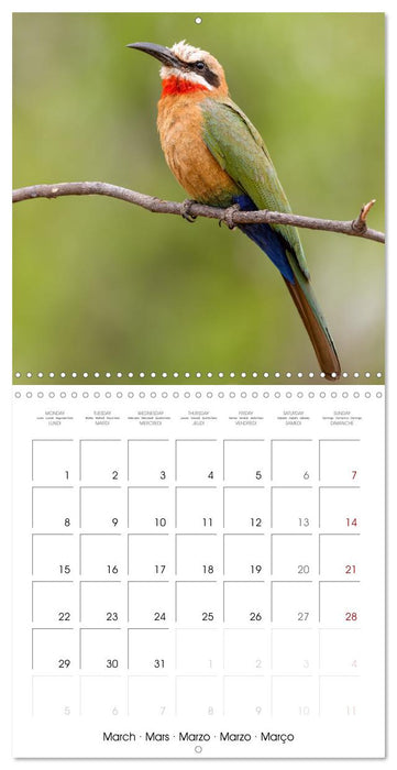 Feathered Jewels (CALVENDO Monthly Calendar 2027)