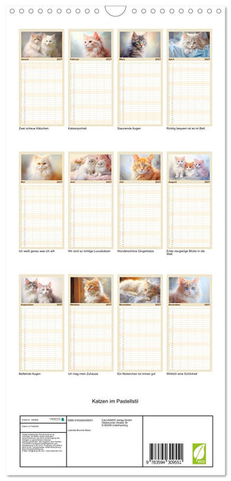 Katzen im Pastellstil (CALVENDO Familienplaner 2027)