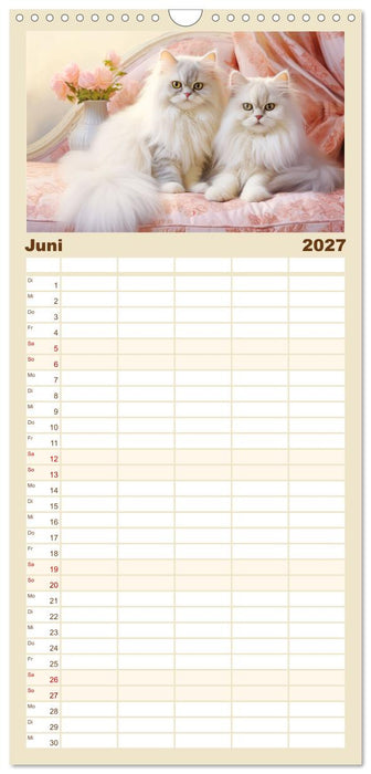 Katzen im Pastellstil (CALVENDO Familienplaner 2027)