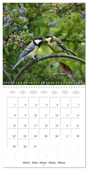 WILD GARDEN ANIMALS (CALVENDO Monthly Calendar 2027)