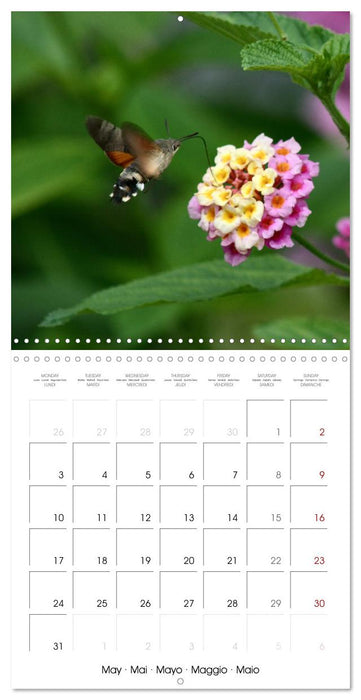 WILD GARDEN ANIMALS (CALVENDO Monthly Calendar 2027)