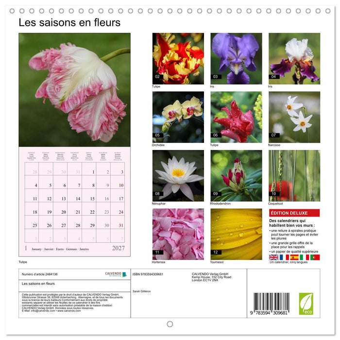 Les saisons en fleurs (CALVENDO Calendrier mensuel 2027)