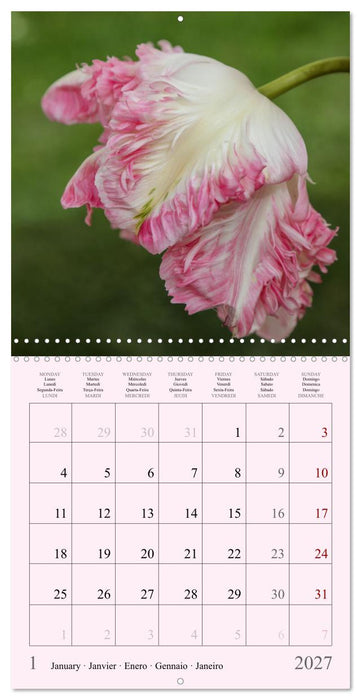 Les saisons en fleurs (CALVENDO Calendrier mensuel 2027)