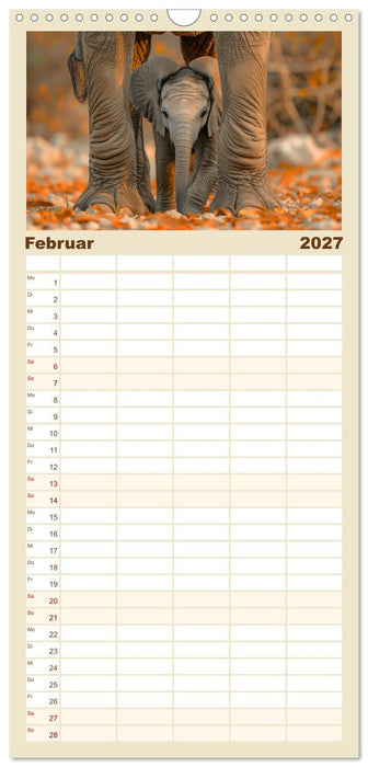 Liebenswerte Elefanten (CALVENDO Familienplaner 2027)