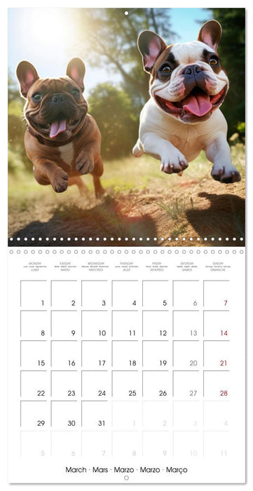 FRENCH BULLDOG Vigilant and brave (CALVENDO Monthly Calendar 2027)