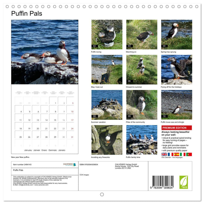 Puffin Pals (CALVENDO Monthly Calendar 2027)