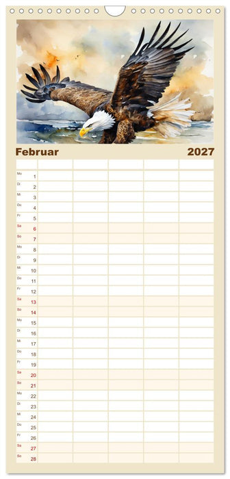 Weißkopfseeadler - Majestätische Vögel (CALVENDO Familienplaner 2027)