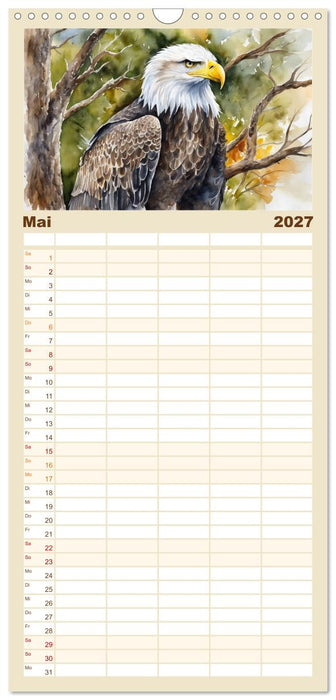 Weißkopfseeadler - Majestätische Vögel (CALVENDO Familienplaner 2027)