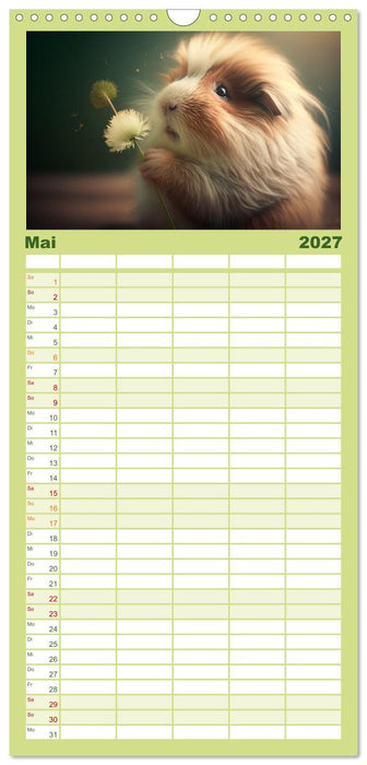 Märchenhafte Merlis - Schweinegeile Illustrationen (CALVENDO Familienplaner 2027)