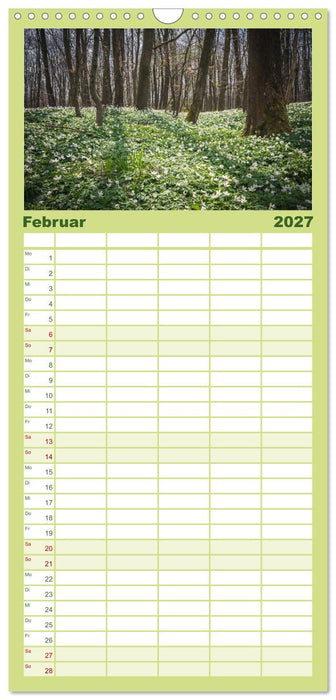 Magischer Harzwald (CALVENDO Familienplaner 2027)