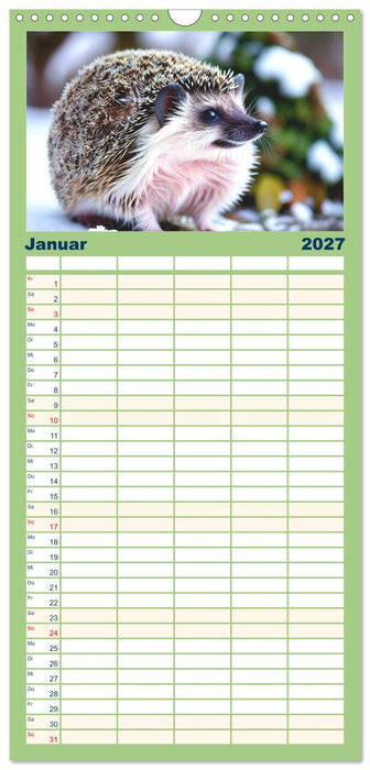 Niedliche Igel (CALVENDO Familienplaner 2027)