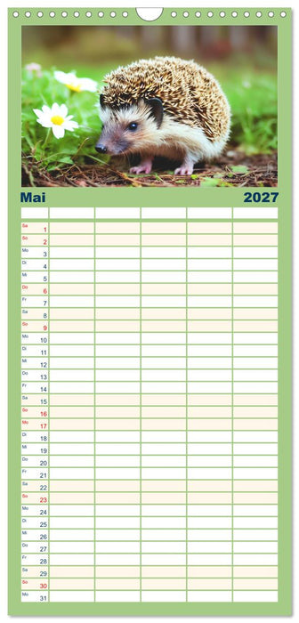 Niedliche Igel (CALVENDO Familienplaner 2027)