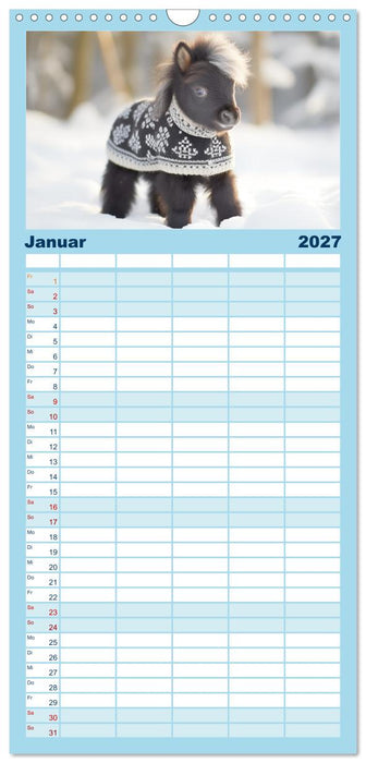 Kleine Pferde. Mini-Ponys zum verlieben (CALVENDO Familienplaner 2027)