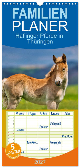 Haflinger Pferde in Thüringen (CALVENDO Familienplaner 2027)
