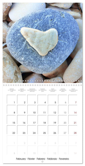 A year full of love for you (CALVENDO Monthly Calendar 2027)