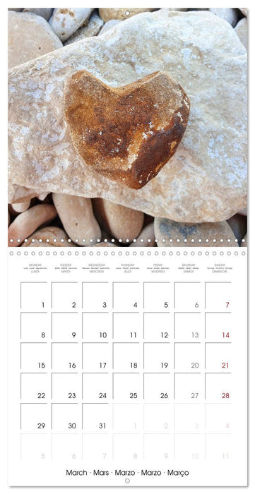 A year full of love for you (CALVENDO Monthly Calendar 2027)