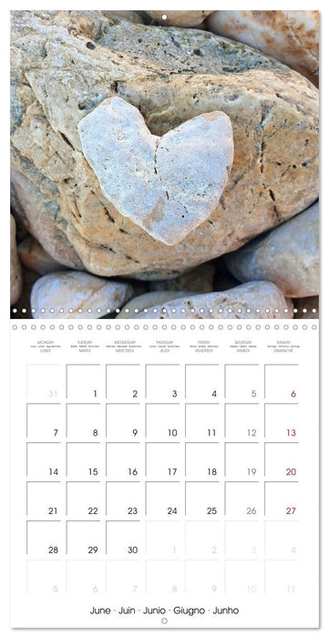 A year full of love for you (CALVENDO Monthly Calendar 2027)