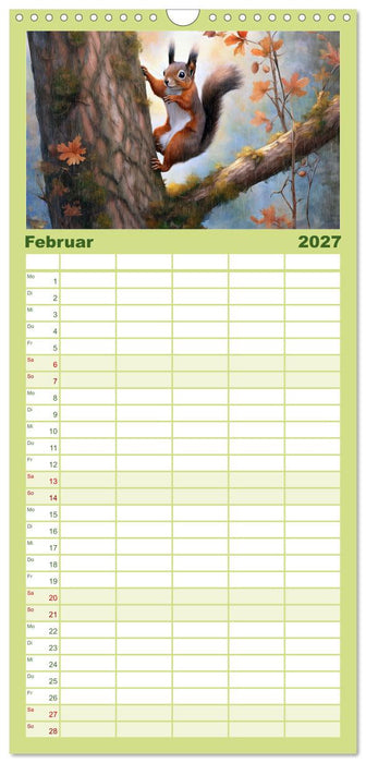 Der Eichhörnchen-Kalender (CALVENDO Familienplaner 2027)