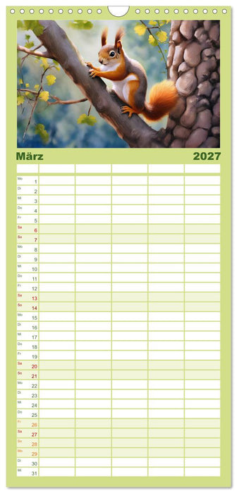 Der Eichhörnchen-Kalender (CALVENDO Familienplaner 2027)