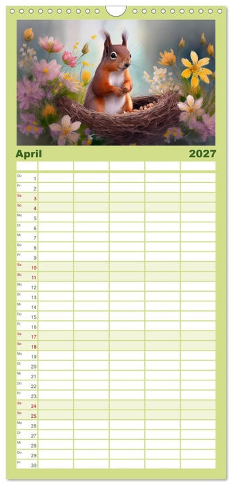 Der Eichhörnchen-Kalender (CALVENDO Familienplaner 2027)