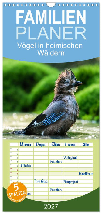 Vögel in heimischen Wäldern (CALVENDO Familienplaner 2027)
