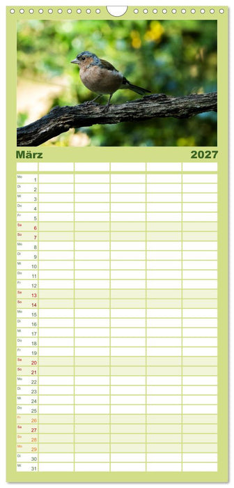 Vögel in heimischen Wäldern (CALVENDO Familienplaner 2027)