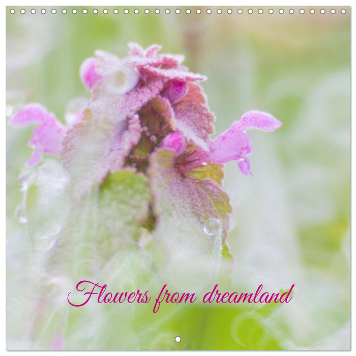 Flowers from dreamland (CALVENDO Monthly Calendar 2027)