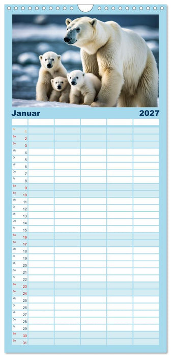 Eisbären im Fokus (CALVENDO Familienplaner 2027)