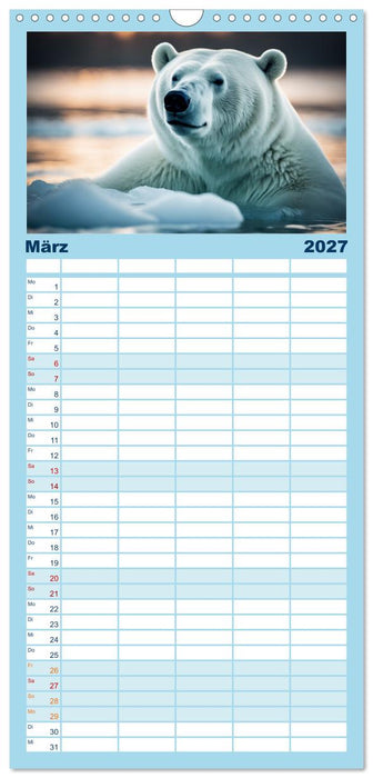 Eisbären im Fokus (CALVENDO Familienplaner 2027)
