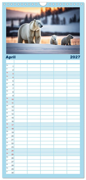 Eisbären im Fokus (CALVENDO Familienplaner 2027)