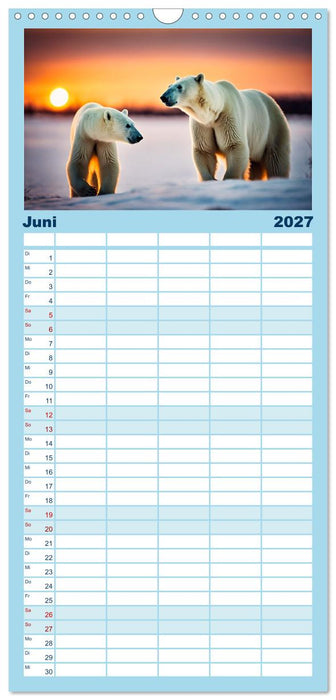 Eisbären im Fokus (CALVENDO Familienplaner 2027)
