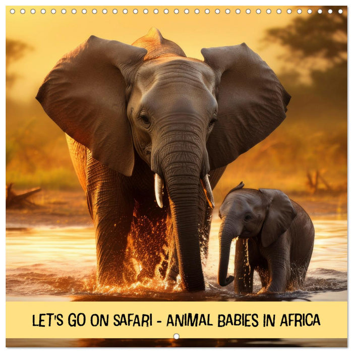 Let's go on Safari - Animal babies in Africa (CALVENDO Monthly Calendar 2027)